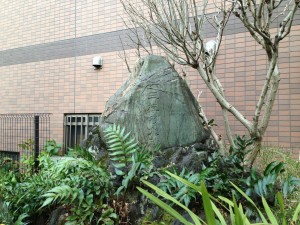 th_IMG_1445