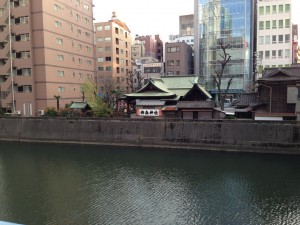 th_IMG_1446